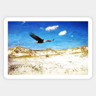 Bald Eagle on Cumberland Island Sticker